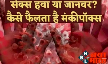 Monkeypox:  मंकीपॉक्स कैसे फैलता है? समलैंगिक सेक्स, हवा या जानवर! ब्रिटेन-अमेरिका समेत चार देशों में 38 केस.