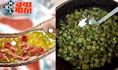 Health Tips : हाई कोलेस्ट्रॉल को कम करती है ये हरी सब्जी भिंडी, Blood Sugar Level भी करती है कंट्रोल.