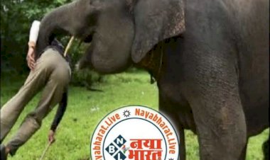 CG गुस्से में गजराज : घर में घुसकर पिता-पुत्री को कुचल कर मारा…पिता-पुत्री की मौत से इलाक़े में मचा हड़कंप…ग्रामीणों में दहशत का माहौल...9 घंटे बाद पहुंचा वन अमला, ग्रामीणों ने किया पथराव…