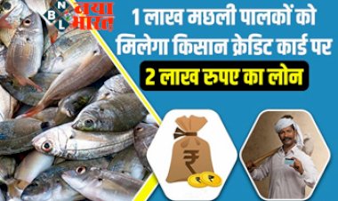 Fish Farmers Yojana : खुशखबरी ! 1 लाखों मछली पालकों को मिलेगा किसान क्रेडिट कार्ड पर 2 लाख रुपए का लोन, जानिए कैसे उठाएं योजना का लाभ.