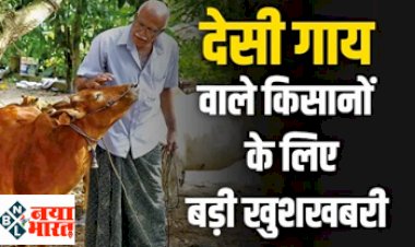 Desi Cow Farming: खुशखबरी ! देसी नस्ल की गायों वाले किसानों को मिलेगा बढ़ावा, मिलेगा बड़ा लाभ.