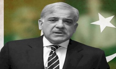 पाकिस्तान: शाहबाज शरीफ ने उगल दिया जहर, कहा- एशिया की शांति के लिए अनुच्छेद 370 की बहाली जरूरी.