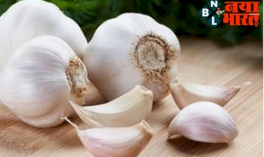 Benefits of Garlic: लहसुन खाने के 8 महत्वपूर्ण फायदे, शरीर को रखता है कई रोगों को दूर.