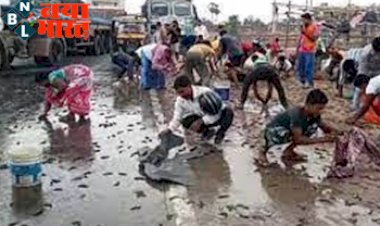 Fish Rain Video: इस जगह आसमान से बरसने लगी मछलियां!…फिर जो हुआ…बाल्टी और डिब्बे लेकर पहुंचे लोग… हर कोई रह गया हैरान…देखे वायरल VIDEO…..