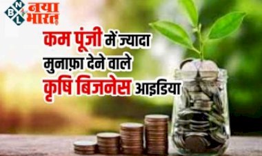 Farming Business Ideas: बंजर जमीन में करें इस पेड़ की फसल, 30 हजार रुपये में लागत में होगा 70 लाख तक की कमाई...