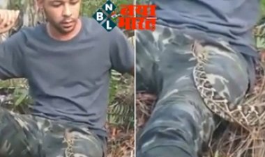 snake sitting on lap : …जब अचानक शख्स की गोद में आकर बैठा गया खतरनाक सांप…फिर जो हुआ…देखें विडियो युवक ने कैसे बचाई खुद की जान...