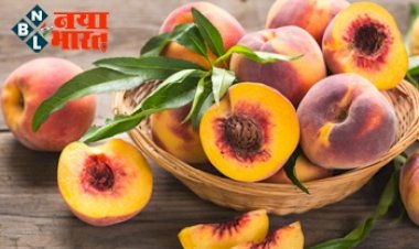 Weight Loss Foods: मोटापा, लिवर और इम्युनिटी को करेगा मजबूत ये एक फल, करना होगा ऐसे सेवन, जाने पूरी जानकारी ...
