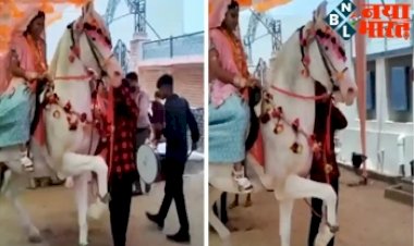 Viral Video: घोड़ी पर बैठी दुल्हन, बैंड बाजे की धुन सुनते ही जमकर नाचने लगी घोड़ी...वीडियो मचा रहा धमाल...