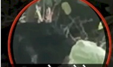 Bear Eaten Alive:  मंदिर से दर्शन कर लौट रहे पति-पत्नी पर भालू का हमला…पति-पत्नी को जिंदा खा गया भालू,  सब्जी-भाजी की तरह टुकड़े-टुकड़े कर चबा गया, देखते रह गए लोग कांप गया कलेजा….