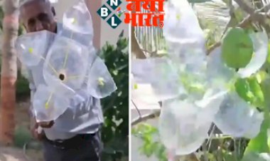 Viral Video: पेड़ से फलों को तोड़ने के लिए शख्स ने बनाया गजब का उपकरण, आनंद महिंद्रा भी हो गए हैरान!