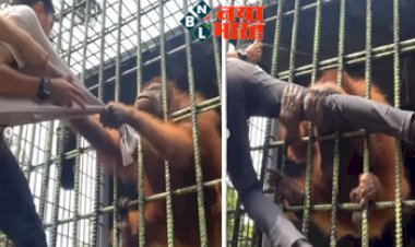Chimpanzee Attack Viral Video: पिंजरे में बंद चिंपांजी ने युवक के साथ कुछ किया ऐसा…देखकर हो जाएँगे हैरान…युवक Zoo जाने के नाम से ही पकड़ लेगा अपने कान…देखे विडियो….