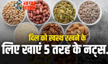 Nuts for Healthy Heart : दिल को स्वस्थ रखने के लिए खाएं ये 5 तरह के नट्स, पौष्टिक तत्वों से हैं भरपूर...