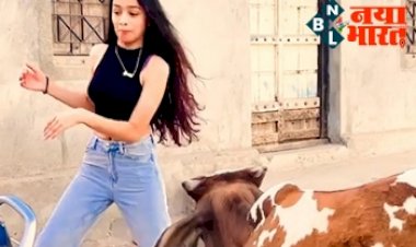 Ladki Ka Video: सांड के सामने रील बनाने लगी लड़की, तभी जो कुछ हुआ उसे देख हंसी नहीं रोक पाएंगे आप, विडियो देखे...