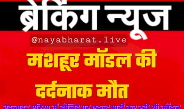 मशहूर मॉडल की दर्दनाक मौत: रेडलाइट एरिया में हॉलिडे पर एडल्ट पार्टी कर रही थी मॉडल.... 8वीं मंजिल से गिरकर मॉडल की मौत....