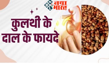 Kulthi Ki Daal Health Benefits : पथरी या किडनी में है स्टोन तो करें कुलथी के दाल का सेवन... राहत दिलाने में कारगर, जानें सेवन करने का सही तरीका...