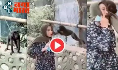 Monkey's Video : चुपके से आया बंदर और लड़की को करने लगा किस! उसके बाद हुआ कुछ ऐसा कि...