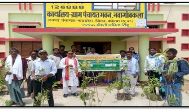 पोषण बाडी अभियान किसानों को अमरूद, सीताफल, पपीता आदि पौधों का किया जा रहा वितरण....