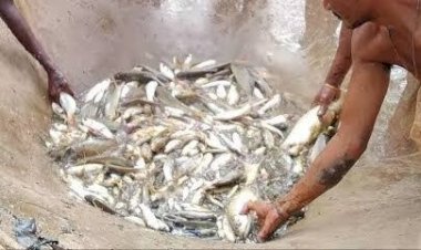 अवैधानिक मत्स्याखेट की निगरानी के लिए सर्चिंग टीम गठित,15 अगस्त तक मत्स्याखेट प्रतिबंधित.......