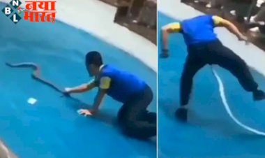 snake bite mistake: शख्स ने किया किंग कोबरा को छेड़ने की गलती , फिर जो हुआ ....