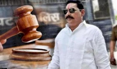 Bihar: एके-47 बरामदगी मामले में राजद विधायक अनंत सिंह को 10 साल की सजा, एमपी-एमएलए कोर्ट ने सुनाया फैसला.