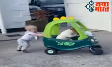 Social Media Viral Video: जब क्यूट बेबी ने अपने डॉगी को Toy Car में कराया सैर, वीडियो देख बन जाएगा आपका दिन