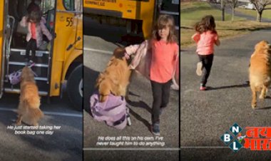 Viral Video: बच्ची को पिक करने बस स्टॉप पर पहुंचा डॉगी, यूजर्स ने भी लुटाया प्यार....देखिए कैसे?