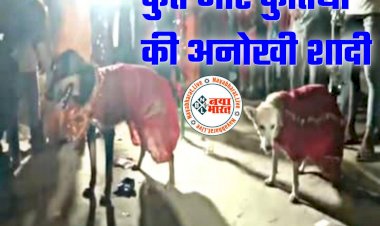 कुत्ते और कुतिया की अनोखी शादी: 400 लोगों की बारात... जमकर डांस भी हुआ... इंसानों की तरह कुत्ते और कुतिया ने लिए 'सात फेरे'... शादी इतनी धूमधाम से... की दंग रह गए गांव के लोग....