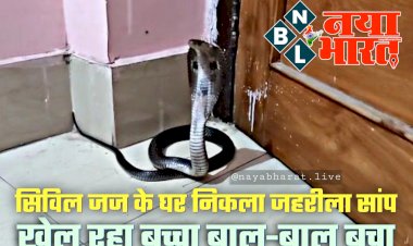 CG- जज के घर निकला जहरीला सांप VIDEO: सिविल जज के घर चल रही थी सालगिरह की तैयारी... इधर निकला जहरीला नाग... खेल रहा बच्चा बाल-बाल बचा... मची चीख पुकार... फिर जो हुआ... देखें वीडियो.....