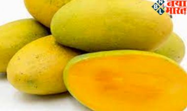 Health Tonic: हृदय रोग के साथ इन बीमाारियों से मिलेगी राहत, लंगड़ा और दशहरी आम से बनेगी शराब और ...
