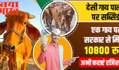 Sarkari Yojana : देसी गाय पालन करने  के लिए सरकार दे रही है 10,800 रूपए अभी करे आवेदन...