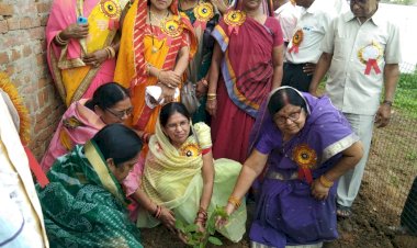 तहसील साहू समाज नगरी  के युवा प्रकोष्ठ ने किया साहुसदन नगरी में वृक्षारोपण