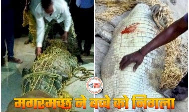 Crocodile X-ray: नदी में मगरमच्छ ने बच्चे को निगला... एक्स-रे के लिए मगरमच्छ को अस्पताल लाया गया... फिर जो हुआ... गांव वालों ने... मामला जान रह जाएंगे दंग....