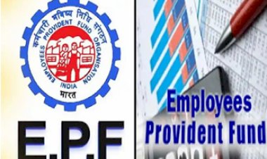 EPFO: PF कर्मचारियों की जागी किस्मत, खाते में जल्द आएगा इतना पैसा इस तरह करें चेक...