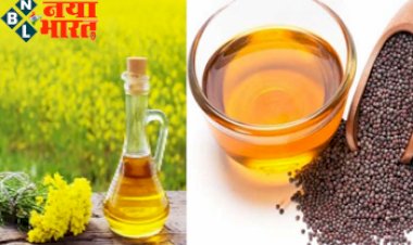 Edible Oil Price: खुशखबरी !  खाने के तेल में आई बड़ी गिरावट, सरकार  ने लिया फैसला.. जाने पूरी  खबर ....