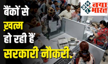Government Bank Jobs: देश के बैंकिंग सेक्टर में  हर साल बैंकों से ख़त्म हो रही हैं सरकारी नौकरी, जानिए क्या है कारण...