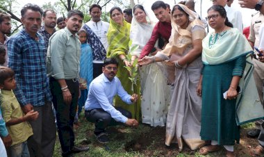 बेमेतरा DM जितेन्द्र कुमार शुक्ला ने किये बालसमुंद सोसायटी एवं नवागांव खुड़मुड़ी गौठान का निरीक्षण...वृक्षारोपण बालसमुंद के शासकीय हायर सेकण्ड्री स्कूल परिसर में किये