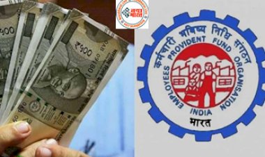 EPFO Interest: पीएफ कर्मचारियों की चमक गई किस्मत ! खाते में भेजे जाएंगे 56,000 रुपये, जल्दी इस तरह करें चेक...