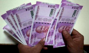 Employees - Pensioners News : कर्मचारी-पेंशनर्स के लिए अच्छी खबर, DA-DR में 13 फीसद की वृद्धि, वित्त विभाग ने जारी किया आदेश…