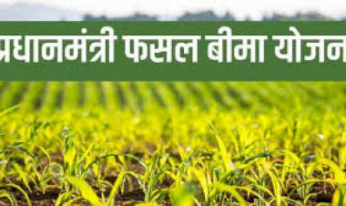 अब इतने तारीख तक करा सकते है फसलों का बीमा,प्रधानमंत्री फसल बीमा योजना में पंजीयन की अंतिम तिथि में हुई वृद्धि.......