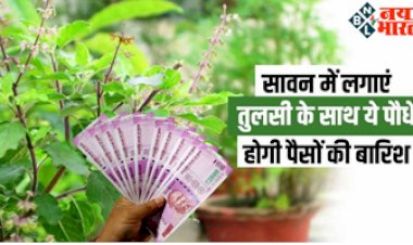 Vastu Tips For Tulsi: सावन में लगाएं तुलसी के साथ ये पवित्र पौधों को लगाएं, होगी पैसों की बारिश...बरसेगी भगवान शिव की कृपा !