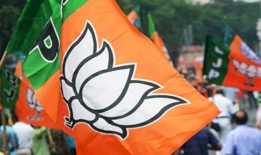BJP का मिशन 400+: लोकसभा चुनाव की तैयारी…17 अगस्त से केंद्रीय मंत्री जीती सीटों पर हर महीने और हारी सीटों पर हर 15 दिन में दौरा करेंगे..