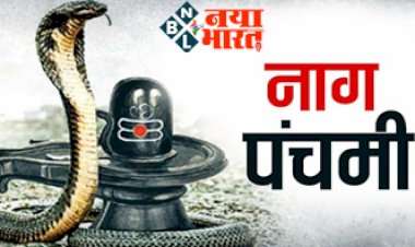 Nag Panchami 2022: नाग पंचमी आने में बाकी हैं कुछ ही दिन, जानें कैसे तय होती है सांप की आयु और जहरीलापन, इन उपायों से नहीं होगा घर में कभी सांप आने का डर...
