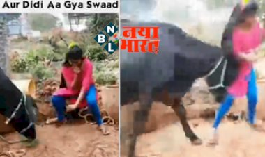 Viral Video: लड़की भैंसों को चारा देकर करने लगी नागिन डांस, तभी हुआ कुछ ऐसा जिसे देख हो जाएंगे लोटपोट...