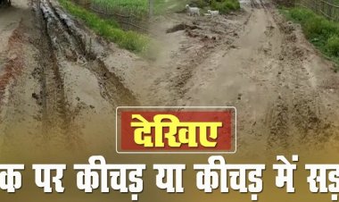 कीचड़ में सड़क की खोज...सरकार के विकास के दावे को यह नजारा बता रहा पोल खोल ,बदहाल सिस्टम की खुली पोल...मजे में जिम्मेदार…देखे विडियो…