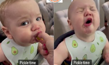 Viral Video: पहली बार अचार चखने के बाद बच्चे ने दिया रिएक्शन ! क्यूटनेस से लोग हुए इमप्रेश, देखे विडियो...