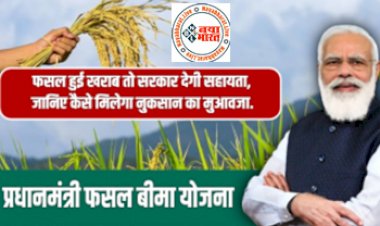 PM Fasal Bima Yojana: फसल हुआ खराब तो सरकार देगी सहायता, जानिए कैसे मिलेगा नुक्सान का मुआवजा 31 जुलाई तक है अंतिम मौका...