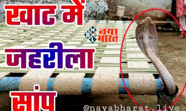 CG- खाट में जहरीला सांप VIDEO: खाट पर लेटकर फोन पर बातें कर रहा था शख्स... अचानक फन निकाल बहार आया कोबरा... देख उड़े होश... फिर जो हुआ... देखें वीडियो आप भी रह जाएंगे हैरान.....
