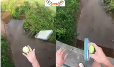 Social media Viral video : I Phone के साथ टेनिस बॉल खेल रहा था शख्स, फिर जो हुआ उसे देख चौंक जाएंगे आप, दिल थाम के देखिए ये वीडियो...