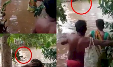 देख कैसे जान जोखिम में डाल ग्रामीण उफनते नाले को बिजली तार के सहारे पार करने को हैं मजबूर