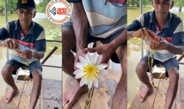 Jugad Video: शख्स ने फूल के साथ की ऐसी कलाकारी,वाटर लिली से बना दिया अद्भुत नेकलेस, वीडियो देखकर रह जाएंगे दंग...
